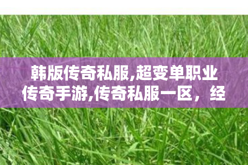 韩版传奇私服,超变单职业传奇手游,传奇私服一区，经典再现，热血重燃—— 探索新开传奇私服一区全貌