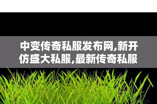 中变传奇私服发布网,新开仿盛大私服,最新传奇私服网，全面解析与安全指南