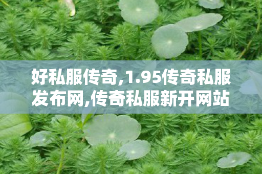好私服传奇,1.95传奇私服发布网,传奇私服新开网站，深度解析与合规建议