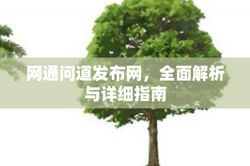 网通问道发布网，全面解析与详细指南