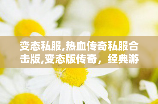 变态私服,热血传奇私服合击版,变态版传奇，经典游戏的深度解析与全面介绍