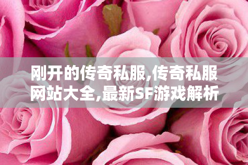 刚开的传奇私服,传奇私服网站大全,最新SF游戏解析，探索未知的宇宙奥秘
