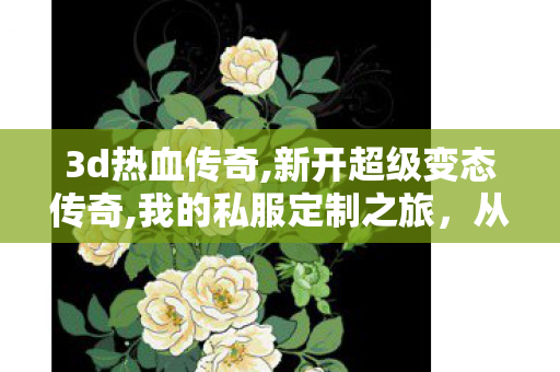 3d热血传奇,新开超级变态传奇,我的私服定制之旅，从设计到成衣的全方位解析