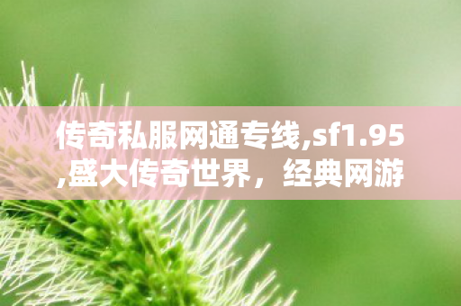 传奇私服网通专线,sf1.95,盛大传奇世界，经典网游的辉煌之旅
