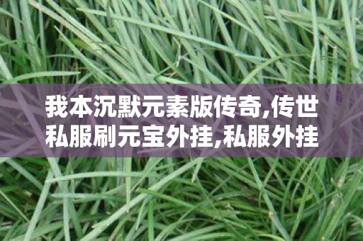 我本沉默元素版传奇,传世私服刷元宝外挂,私服外挂的危害与应对策略