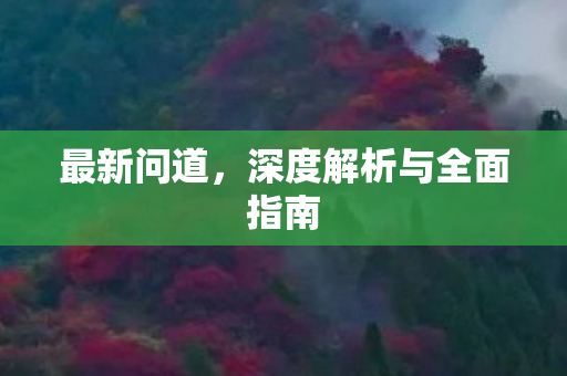 最新问道，深度解析与全面指南