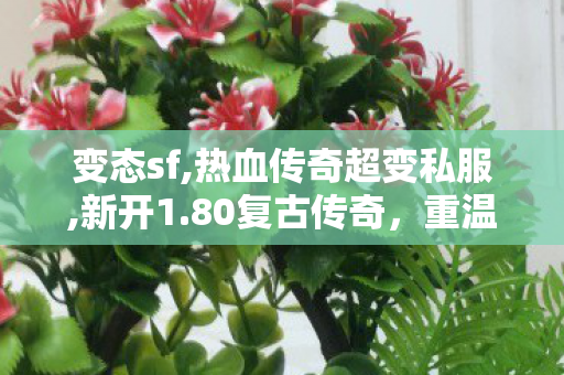 变态sf,热血传奇超变私服,新开1.80复古传奇，重温经典，再现传奇之旅