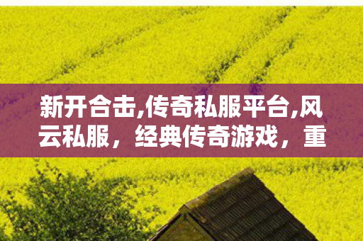 新开合击,传奇私服平台,风云私服，经典传奇游戏，重温热血岁月