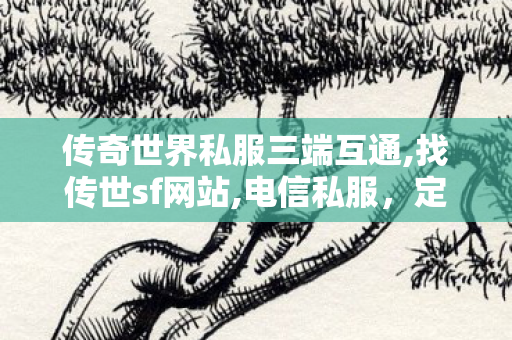 传奇世界私服三端互通,找传世sf网站,电信私服，定义、特点及运营规范