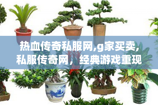 热血传奇私服网,g家买卖,私服传奇网，经典游戏重现，玩家心中的传奇之旅