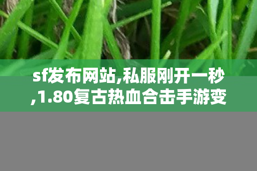 sf发布网站,私服刚开一秒,1.80复古热血合击手游变态版，重燃激情，热血战斗无止境