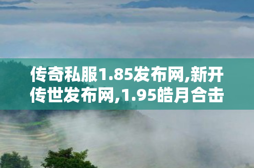 传奇私服1.85发布网,新开传世发布网,1.95皓月合击，传奇游戏巅峰之作的全面解析