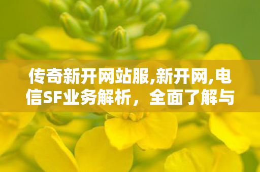 传奇新开网站服,新开网,电信SF业务解析，全面了解与深入分析
