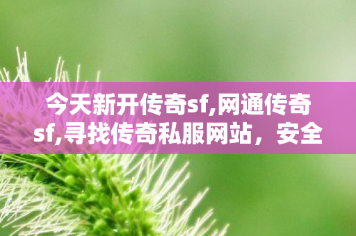 今天新开传奇sf,网通传奇sf,寻找传奇私服网站，安全合法途径与注意事项