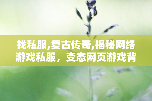 找私服,复古传奇,揭秘网络游戏私服，变态网页游戏背后的真相