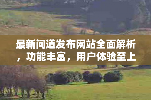 最新问道发布网站全面解析，功能丰富，用户体验至上