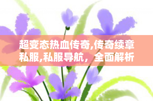 超变态热血传奇,传奇续章私服,私服导航，全面解析与11分析