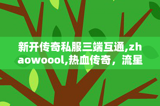新开传奇私服三端互通,zhaowoool,热血传奇，流星火雨全攻略指南