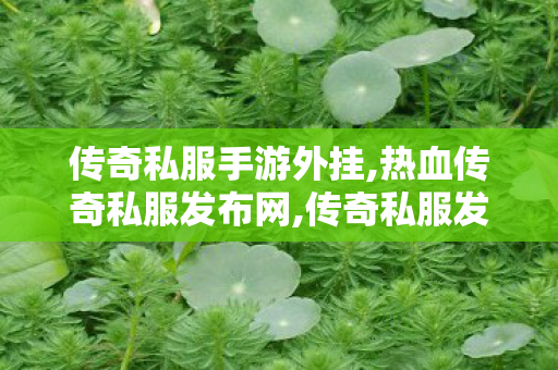 传奇私服手游外挂,热血传奇私服发布网,传奇私服发布站，经典重温，热血重燃的传奇之旅