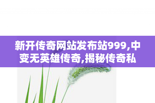 新开传奇网站发布站999,中变无英雄传奇,揭秘传奇私服，经典游戏体验的极致追求