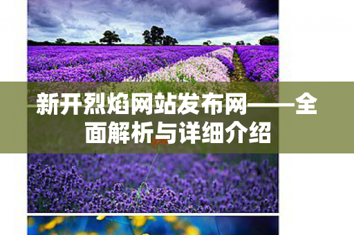 新开烈焰网站发布网——全面解析与详细介绍