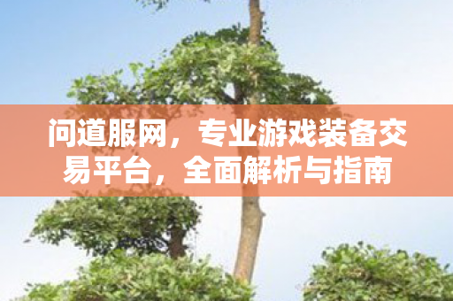 问道服网，专业游戏装备交易平台，全面解析与指南