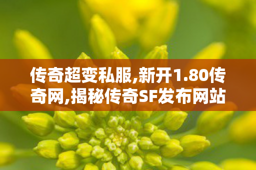 传奇超变私服,新开1.80传奇网,揭秘传奇SF发布网站，全新传奇游戏体验等你来探索