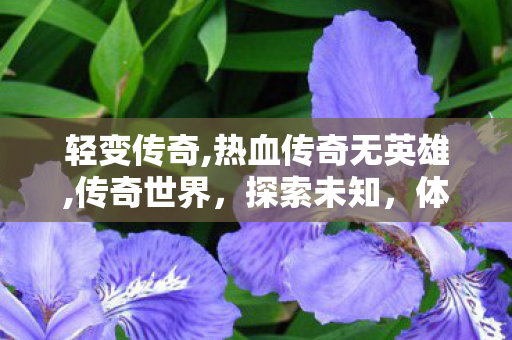 轻变传奇,热血传奇无英雄,传奇世界，探索未知，体验激情的传奇之旅