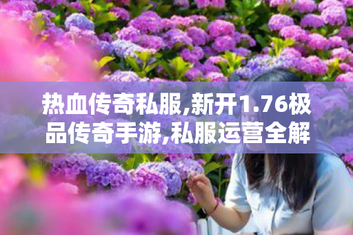 热血传奇私服,新开1.76极品传奇手游,私服运营全解析，从搭建到维护的详细指南