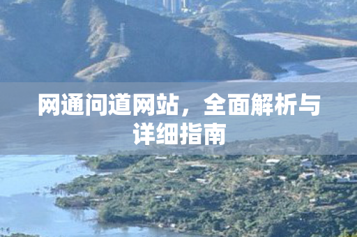 网通问道网站，全面解析与详细指南
