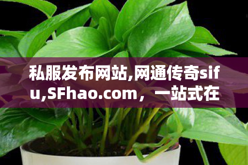 私服发布网站,网通传奇sifu,SFhao.com，一站式在线服务平台全面解析