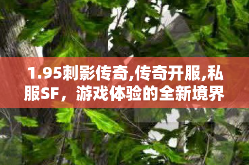1.95刺影传奇,传奇开服,私服SF，游戏体验的全新境界