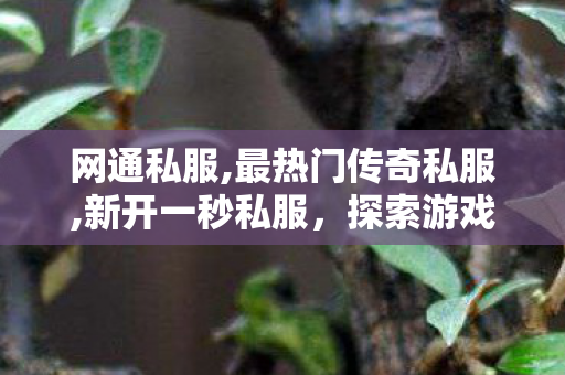 网通私服,最热门传奇私服,新开一秒私服，探索游戏新体验