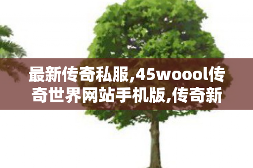 最新传奇私服,45woool传奇世界网站手机版,传奇新服开启，重温经典热血传奇之旅