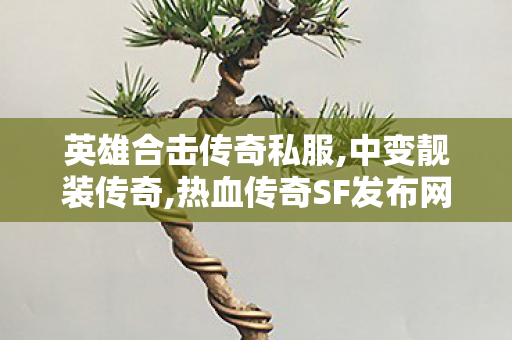 英雄合击传奇私服,中变靓装传奇,热血传奇SF发布网，经典传奇游戏私服资源全面解析