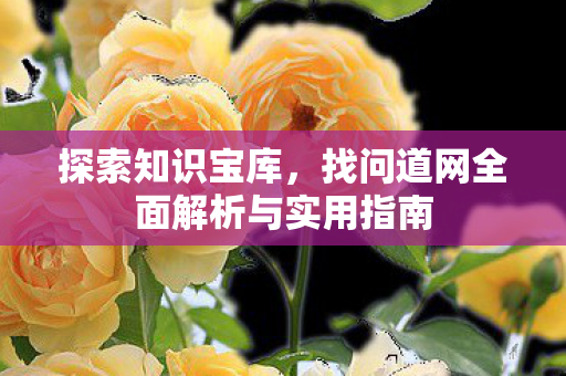 探索知识宝库，找问道网全面解析与实用指南