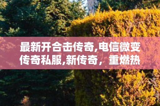 最新开合击传奇,电信微变传奇私服,新传奇，重燃热血，探索未知的冒险世界
