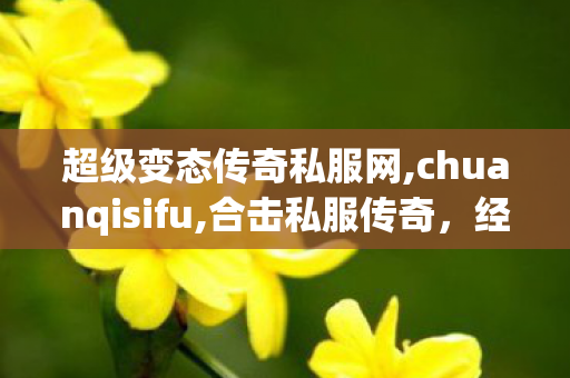 超级变态传奇私服网,chuanqisifu,合击私服传奇，经典重现，热血再燃的传奇之旅