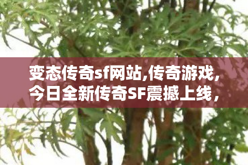 变态传奇sf网站,传奇游戏,今日全新传奇SF震撼上线，经典传奇游戏续写辉煌