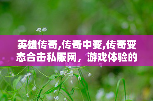 英雄传奇,传奇中变,传奇变态合击私服网，游戏体验的深度探索