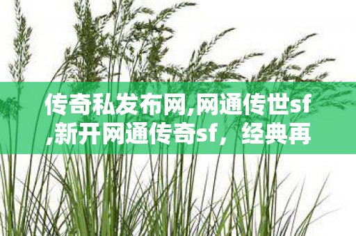 传奇私发布网,网通传世sf,新开网通传奇sf，经典再现，重温热血传奇之旅