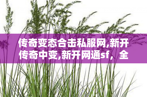 传奇变态合击私服网,新开传奇中变,新开网通sf，全面解析与详细指南