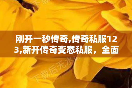刚开一秒传奇,传奇私服123,新开传奇变态私服，全面解析与详细介绍