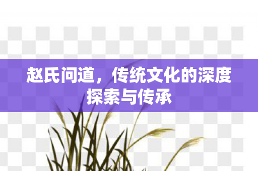 赵氏问道，传统文化的深度探索与传承
