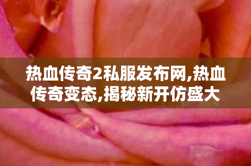 热血传奇2私服发布网,热血传奇变态,揭秘新开仿盛大传奇私服全面解析游戏特1、玩法与优势