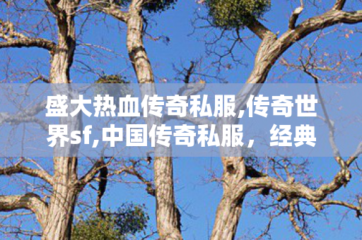 盛大热血传奇私服,传奇世界sf,中国传奇私服，经典游戏文化的传承与探索