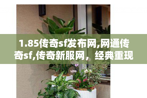 1.85传奇sf发布网,网通传奇sf,传奇新服网，经典重现，热血再燃