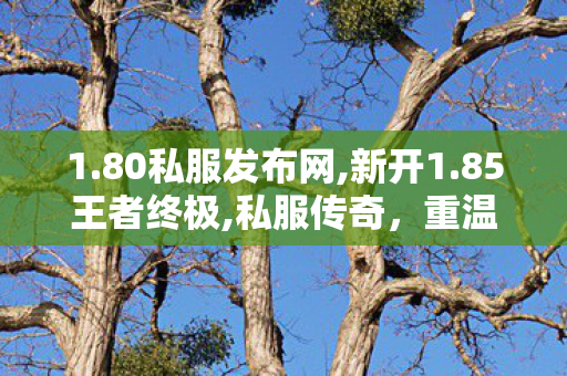1.80私服发布网,新开1.85王者终极,私服传奇，重温经典，畅享游戏乐趣