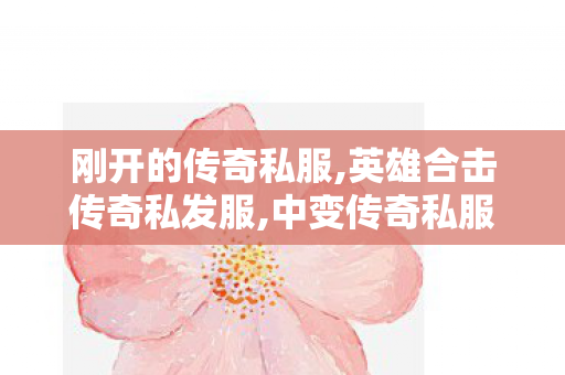 刚开的传奇私服,英雄合击传奇私发服,中变传奇私服网站，全面解析与详细介绍