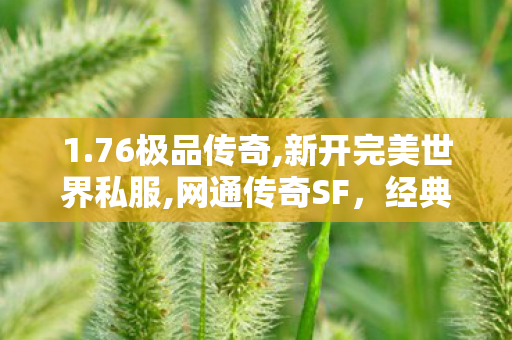 1.76极品传奇,新开完美世界私服,网通传奇SF，经典重温，热血重燃的传奇游戏